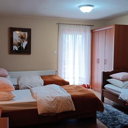 Apartment Medo Ravna Gora Exteriér fotografie