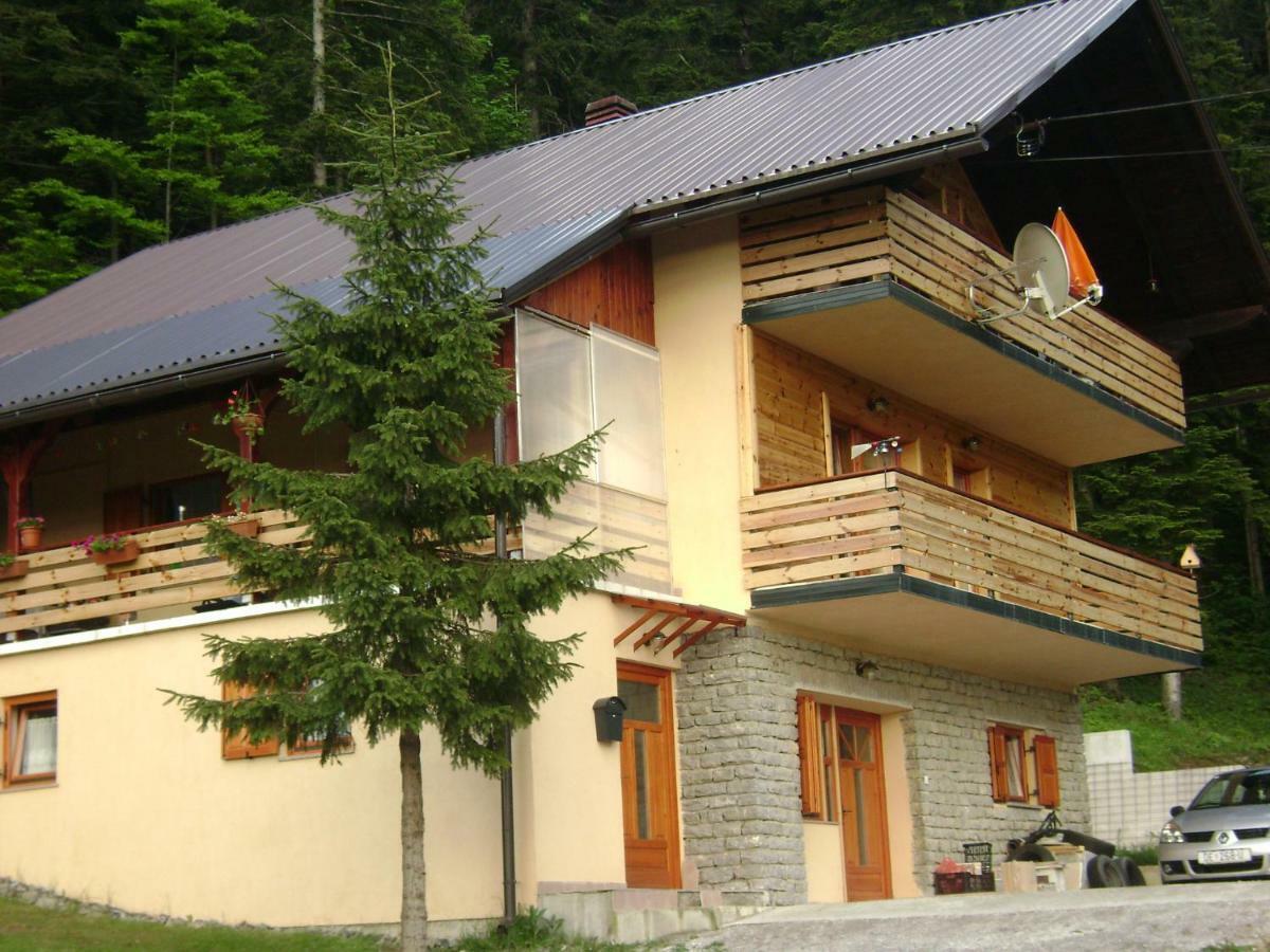 Apartment Medo Ravna Gora Exteriér fotografie